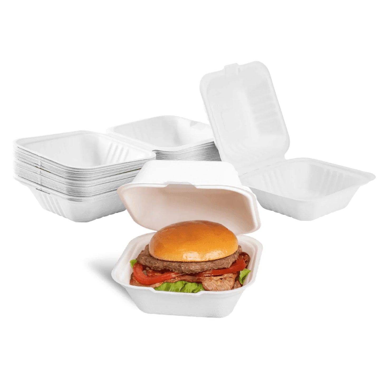 6" x 6" To-Go Containers | 100% Natural Sugarcane Bagasse Fiber | Biodegradable & Compostable Takeout Containers, White