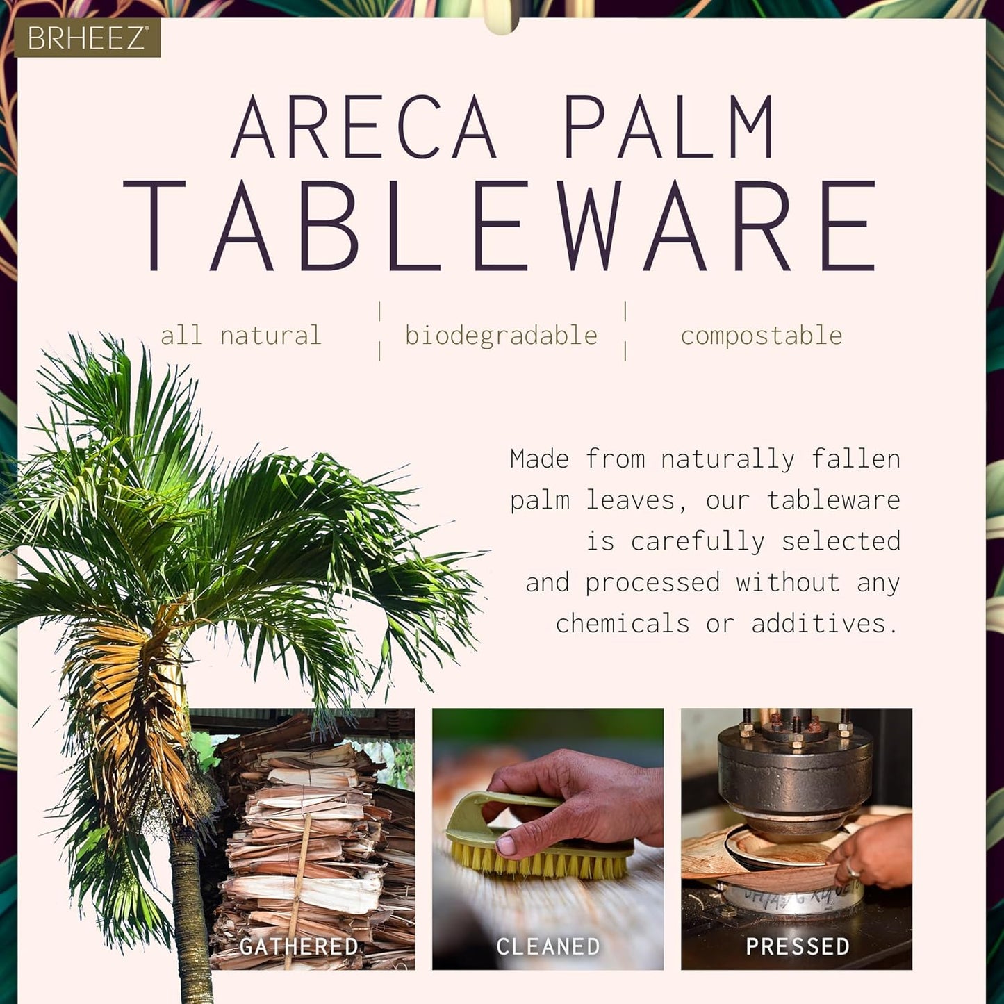 14" Disposable Areca Palm Leaf Round Trays - Bamboo Like Serving Platters, Eco-Friendly Dinnerware for Weddings, Catering & Events.