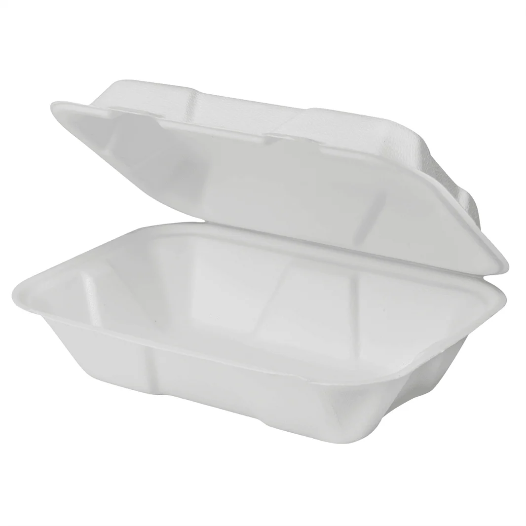 9" x 6" To-Go Containers | 100% Natural Sugarcane Bagasse Fiber | Biodegradable & Compostable Takeout Containers, White